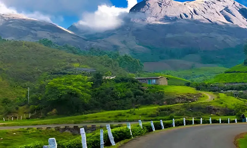 5 Meilleures résidences dans les arbres de l’Inde pour un plan de vacances de rêve