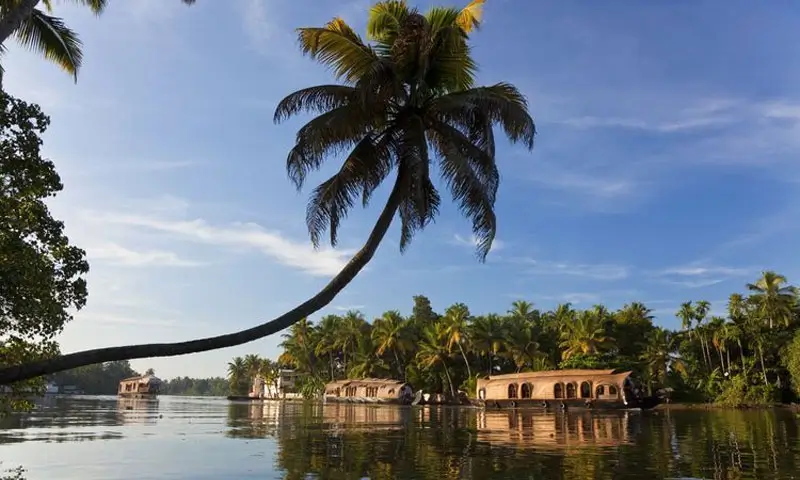 Backwaters du Kerala