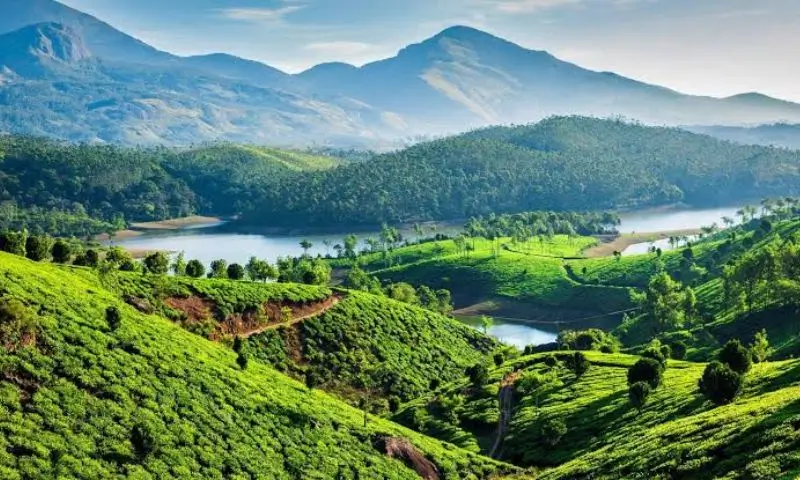 Kerala tour with private driver and houseboat