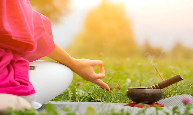 Kerala Tour en discussion avec Ayurveda: Un tour complet de se repose dans le giron de la nature