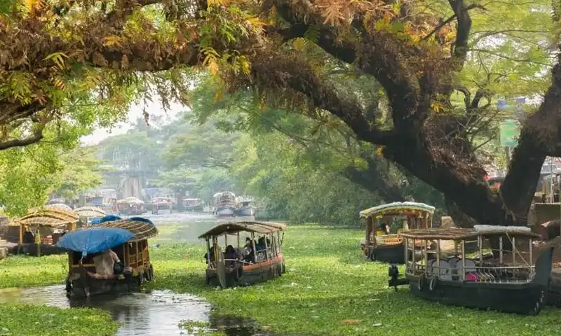 Voiture avec chauffeur Kerala