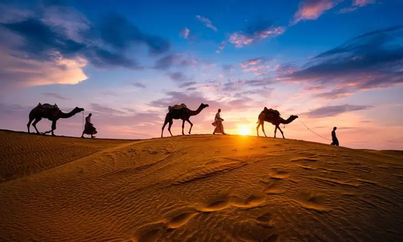 Voyage au Rajasthan