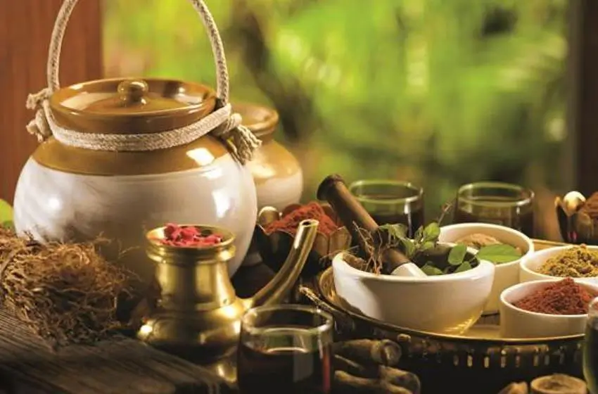 Voyage bien-être en Inde avec chauffeur privé | Ayurveda et Yoga