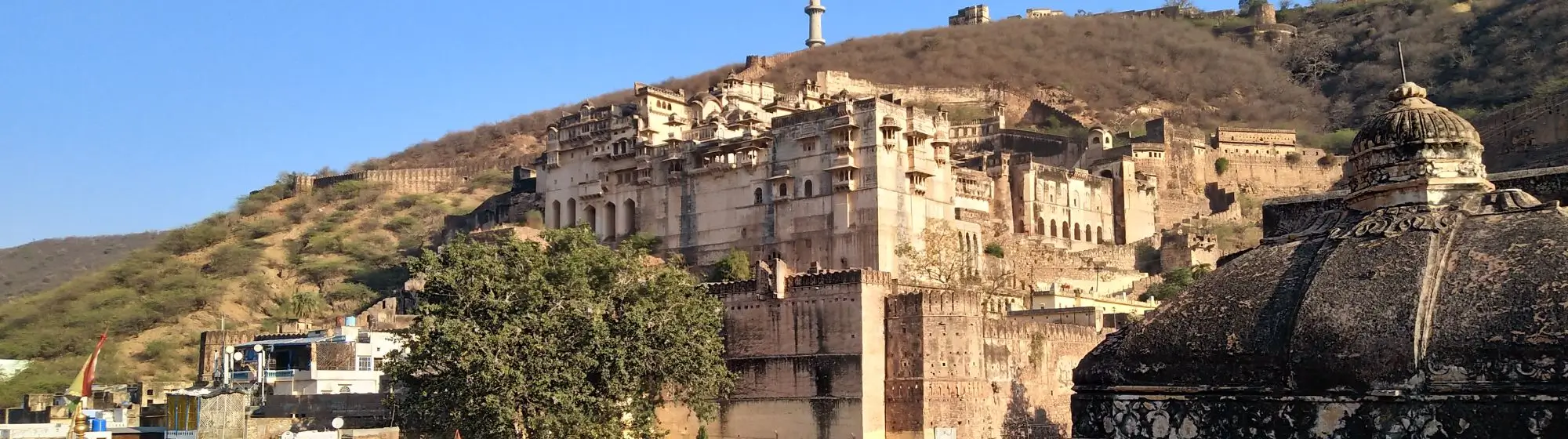 Rajasthan et Tigres de Ranthambore – 11 Jours entre Safaris, Forteresses et Villes Royales