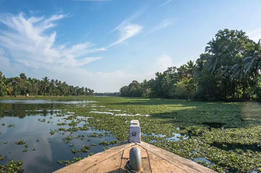 Triangle d’Or & Backwaters du Kerala