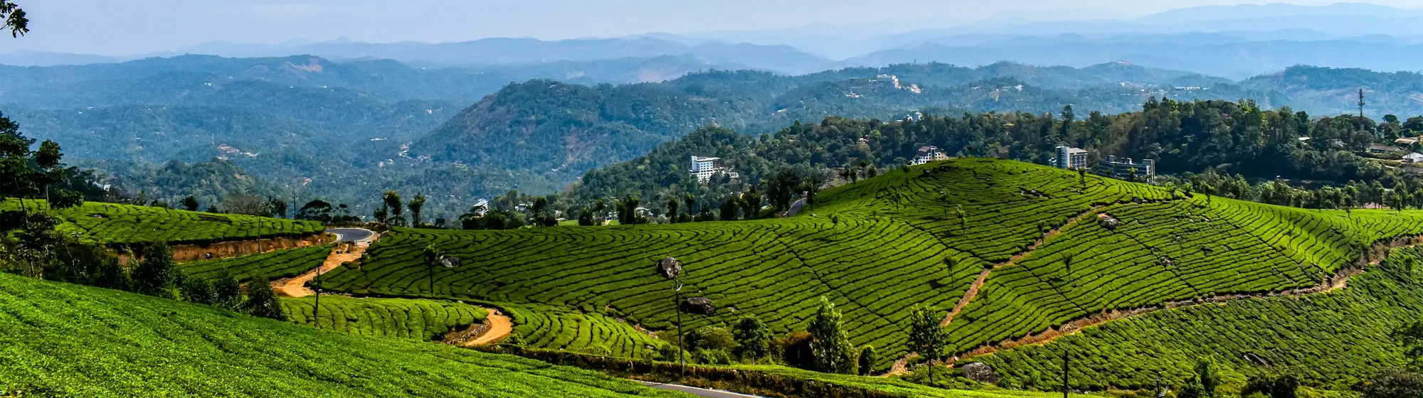 Voyage Ayurveda en Kerala