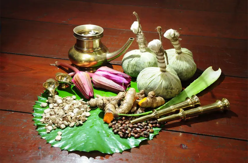 Voyage Ayurveda en Kerala