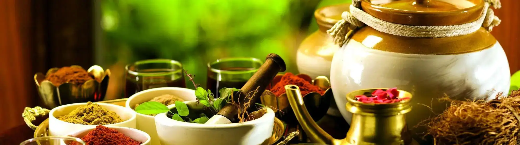 Voyage Ayurveda en Rajasthan