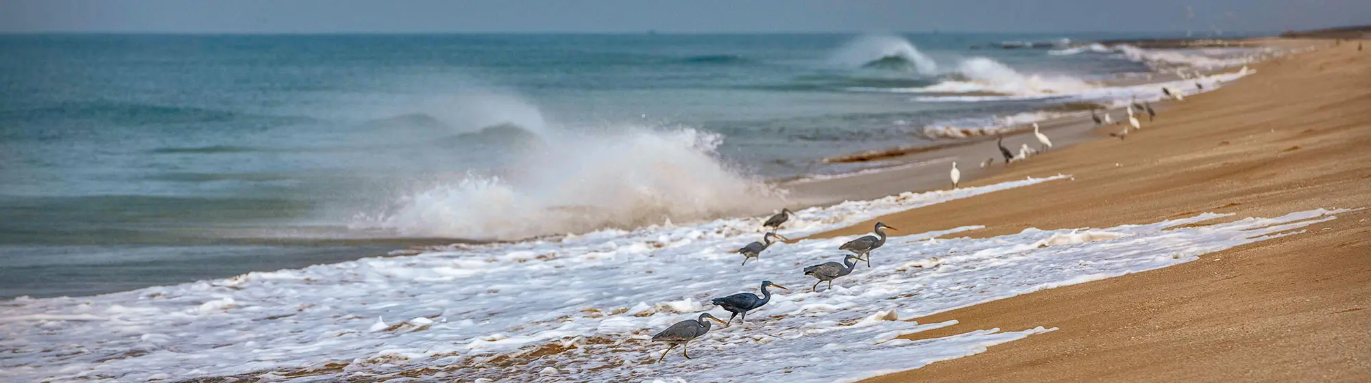 Voyage de Temple de Gujarat