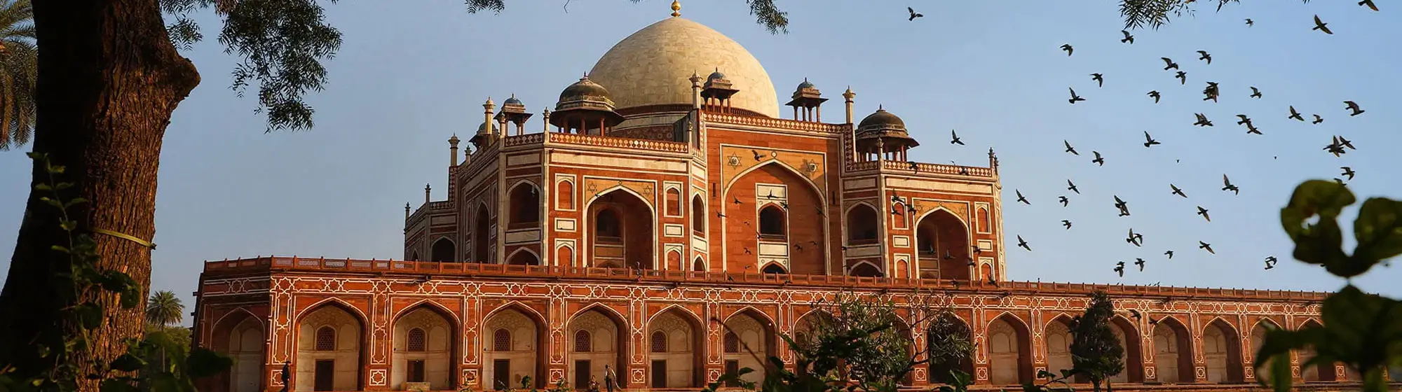 Voyage Triangle dor avec Gujarat