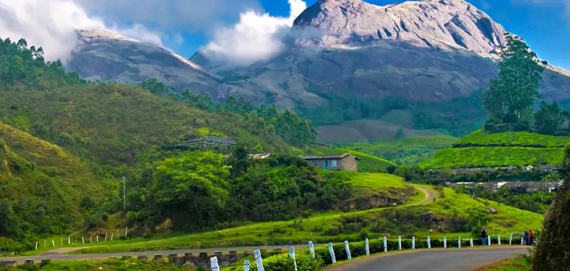 Munnar et les Ghâts occidentaux : une étape qui demande du temps